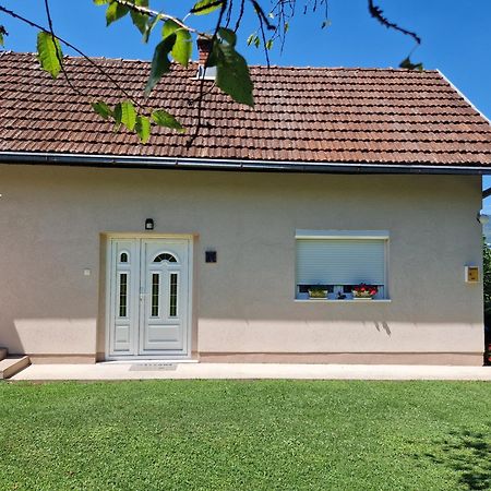 Kuca Za Odmor Dm Villa Bajina Basta Exterior foto