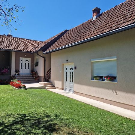 Kuca Za Odmor Dm Villa Bajina Basta Exterior foto