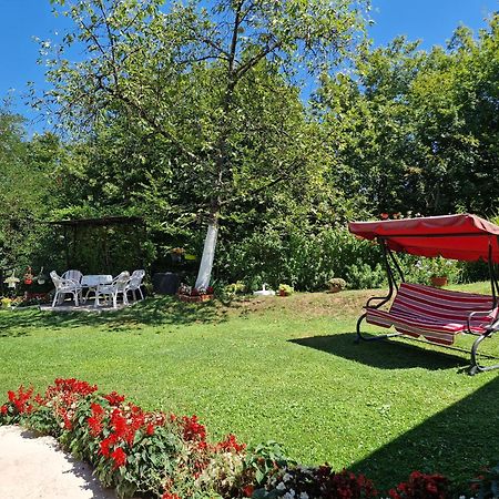 Kuca Za Odmor Dm Villa Bajina Basta Exterior foto