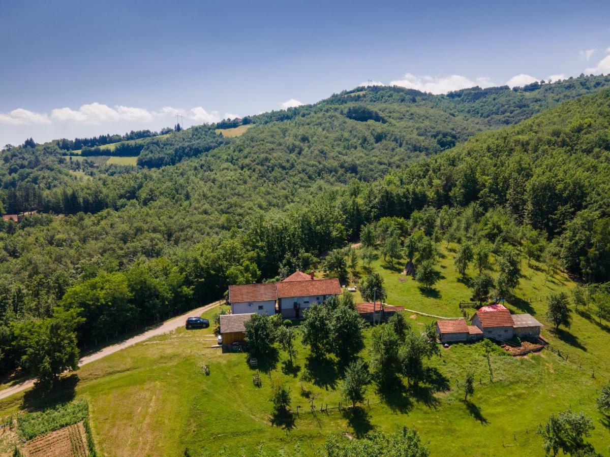 Kuca Za Odmor Dm Villa Bajina Basta Exterior foto