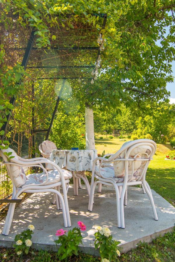 Kuca Za Odmor Dm Villa Bajina Basta Exterior foto