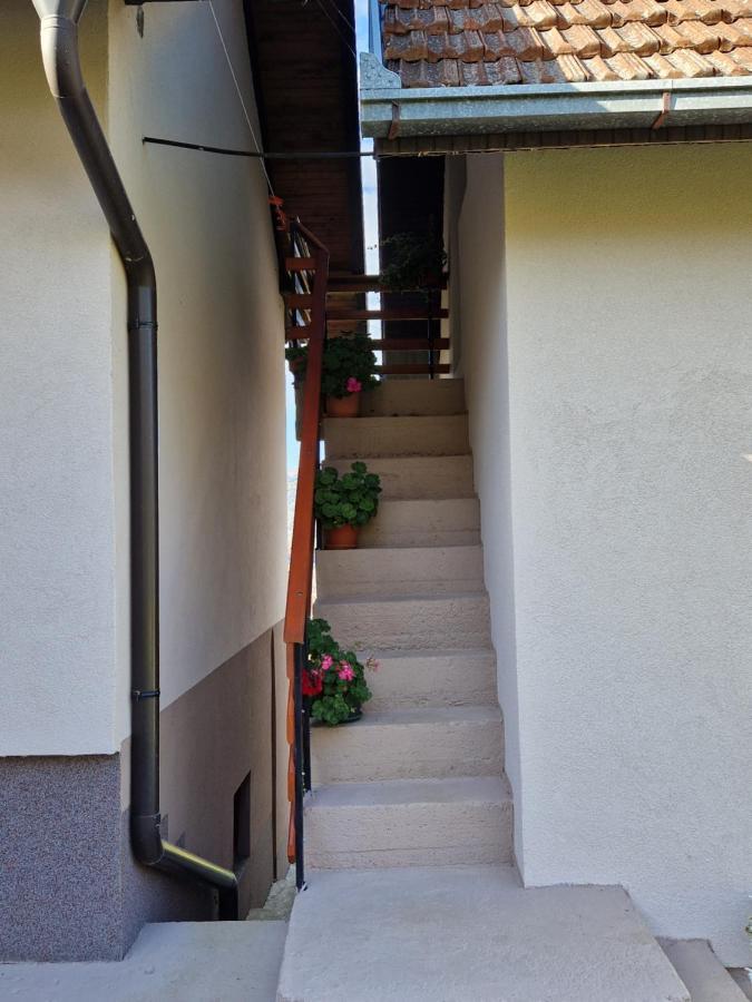 Kuca Za Odmor Dm Villa Bajina Basta Exterior foto